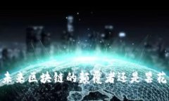 派币：未来区块链的颠覆者还是昙花一现？