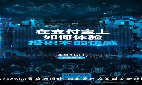 Tokenim背后的困境：你是否也在等那笔款项？