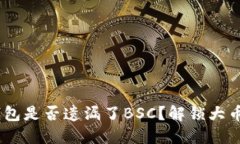 Tokenim钱包是否遗漏了BSC？解锁大币种的秘密！