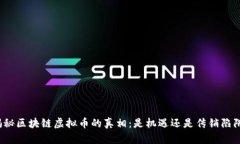 揭秘区块链虚拟币的真相：是机遇还是传销陷阱