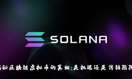 揭秘区块链虚拟币的真相：是机遇还是传销陷阱？