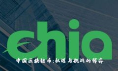 中国区块链币：机遇与挑战的博弈