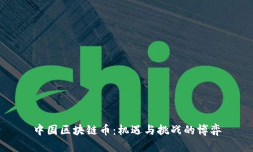 中国区块链币：机遇与挑战的博弈