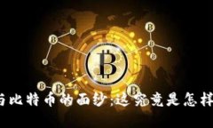 揭开区块链与比特币的面纱：这究竟是怎样的金