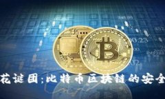 揭开双花谜团：比特币区块链的安全性挑战