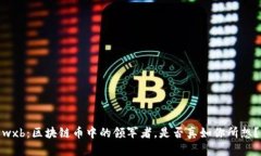 wxb：区块链币中的领军者，是否真如你所想？
