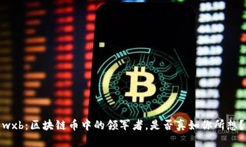 wxb：区块链币中的领军者，是否真如你所想？