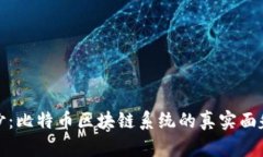揭开神秘面纱：比特币区块链系统的真实面貌与