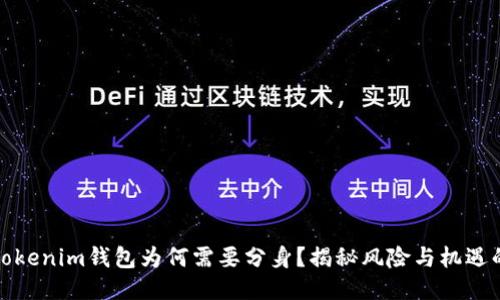 你的Tokenim钱包为何需要分身？揭秘风险与机遇的平衡