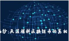 揭开神秘面纱：天涯爆料区块链币的真相与未来
