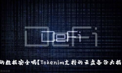 你的数据安全吗？Tokenim支持的云盘备份大揭秘！