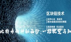 揭开区块链与比特币的神秘面纱：一场视觉与知