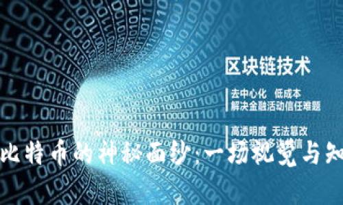 揭开区块链与比特币的神秘面纱：一场视觉与知识的豪华盛宴