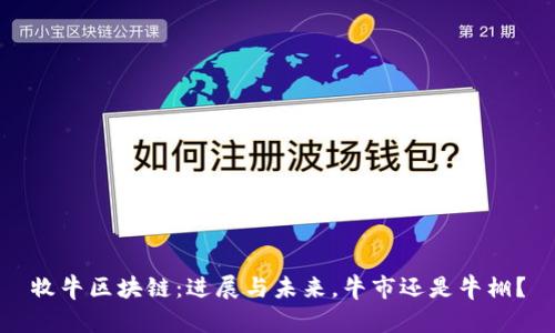 牧牛区块链：进展与未来，牛市还是牛棚？