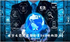 为什么你可能错过了BHD币的潜力？