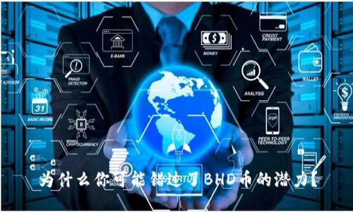 为什么你可能错过了BHD币的潜力？