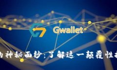 揭开比特币区块链的神秘面纱：了解这一颠覆性