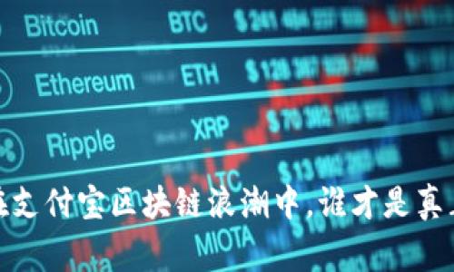 蚂蚁币：在支付宝区块链浪潮中，谁才是真正的赢家？