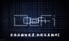 东港区块链发展：机遇还是挑战？