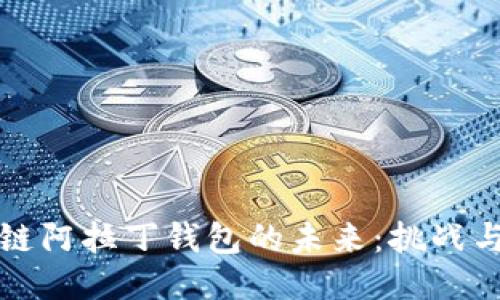 区块链阿拉丁钱包的未来：挑战与机遇