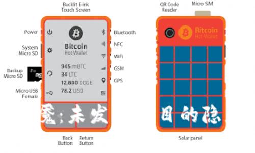 区块链梦魇：未发币项目的隐患与机遇