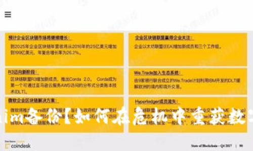 丢失Tokenim备份？如何在危机中重获数字资产安全