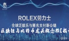 如何挑选未来的区块链与比特币龙头概念股？揭