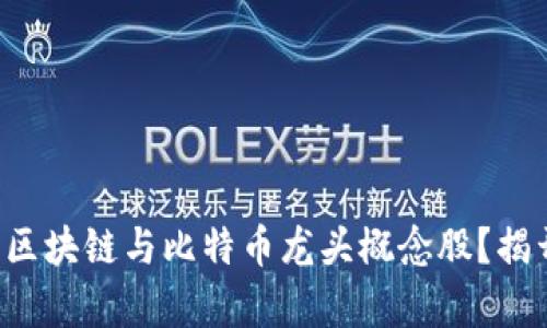如何挑选未来的区块链与比特币龙头概念股？揭开财富的新机遇！