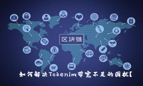   如何解决Tokenim带宽不足的困扰？