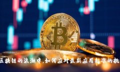 在区块链的浪潮中，如何应对最新应用标准的挑