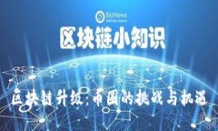 区块链升级：币圈的挑战与机遇