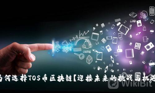 为何选择TOS币区块链？迎接未来的挑战与机遇！