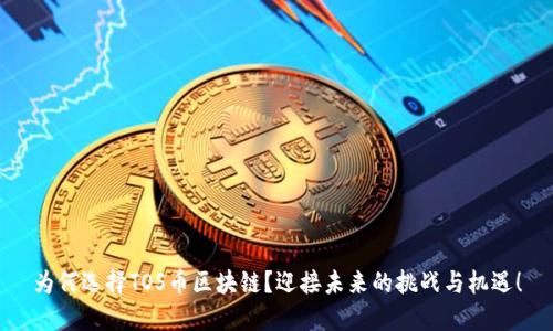为何选择TOS币区块链？迎接未来的挑战与机遇！
