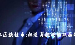 浙江区块链币：机遇与挑战的双面战场