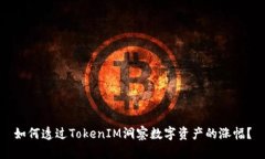 如何透过TokenIM洞察数字资产的涨幅？