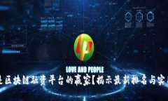 谁才是区块链融资平台的赢家？揭示最新排名与