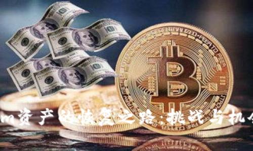 Tokenim资产的恢复之路：挑战与机会并存！