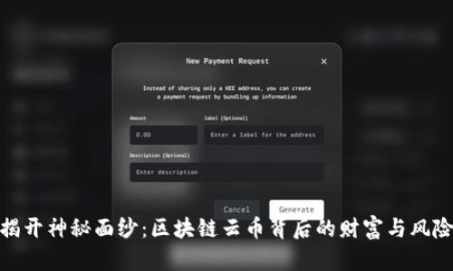 揭开神秘面纱：区块链云币背后的财富与风险