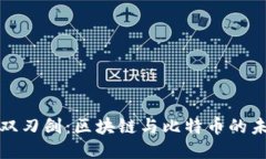 监管的双刃剑：区块链与比特币的未来之路