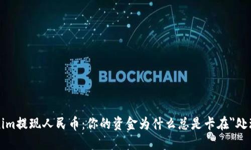 Tokenim提现人民币：你的资金为什么总是卡在