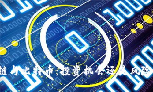 区块链与比特币：投资机会还是风险挑战？