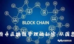 破解比特币区块链管理的秘密：从困惑到掌控