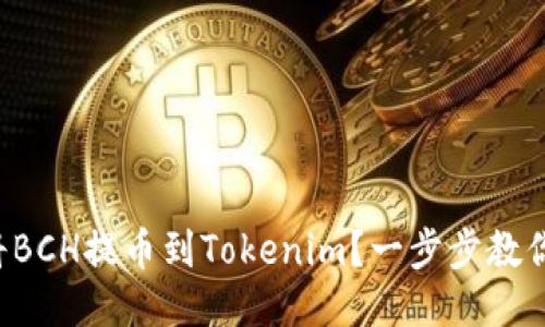 如何顺利将BCH提币到Tokenim？一步步教你规避风险！