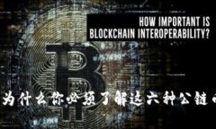 揭开神秘面纱：为什么你必须了解这六种公链币