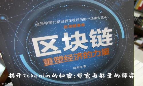 揭开Tokenim的秘密：带宽与能量的博弈