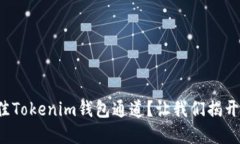 如何选择最佳Tokenim钱包通道？让我们揭开隐藏的