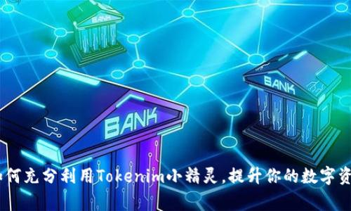 打破常规：如何充分利用Tokenim小精灵，提升你的数字资产管理体验