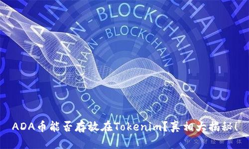 ADA币能否存放在Tokenim？真相大揭秘！
