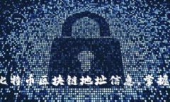 如何高效查询比特币区块链地址信息，掌握你的