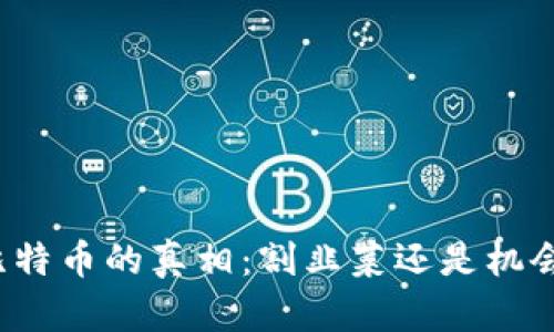 比特币的真相：割韭菜还是机会？